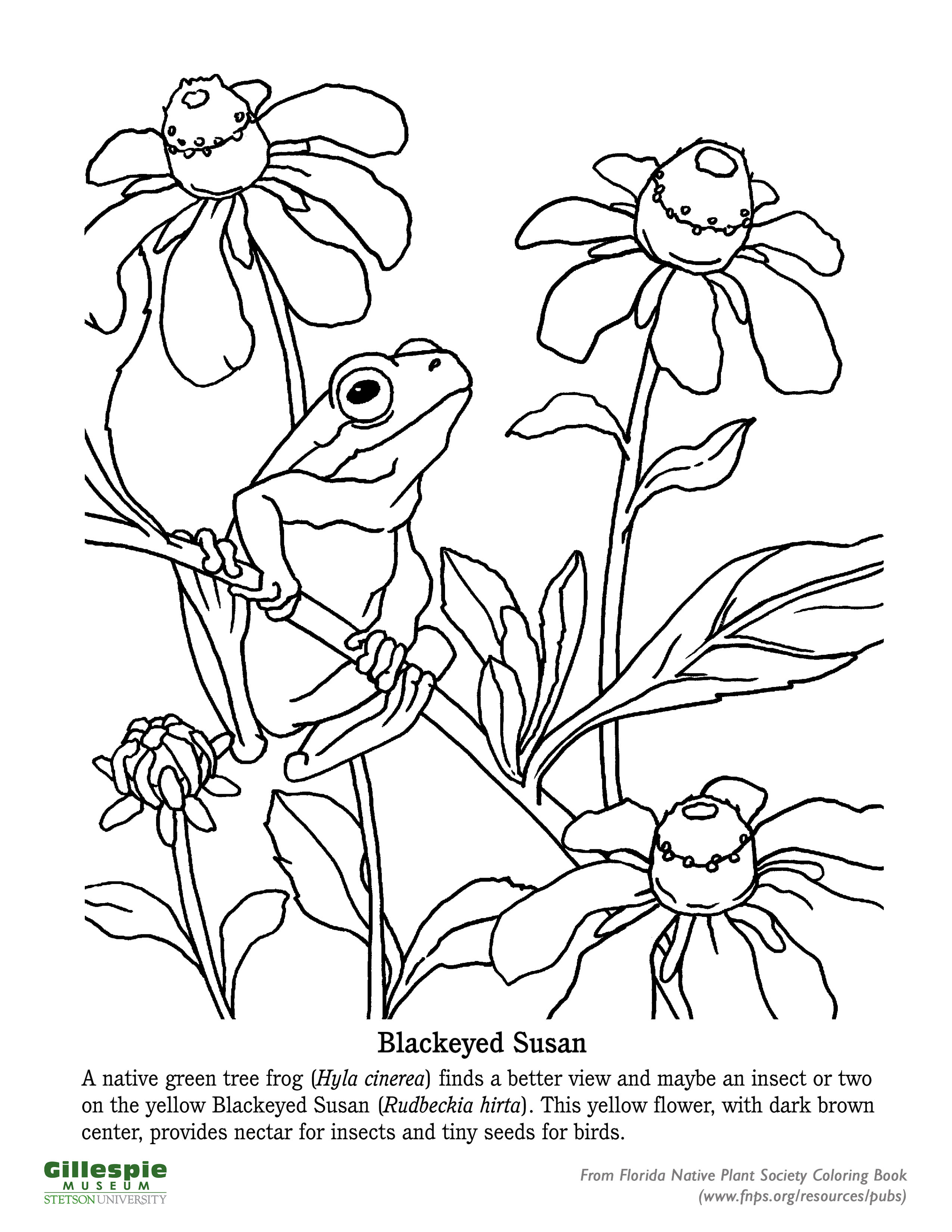 199 Lavender Coloring Pages Printable 152