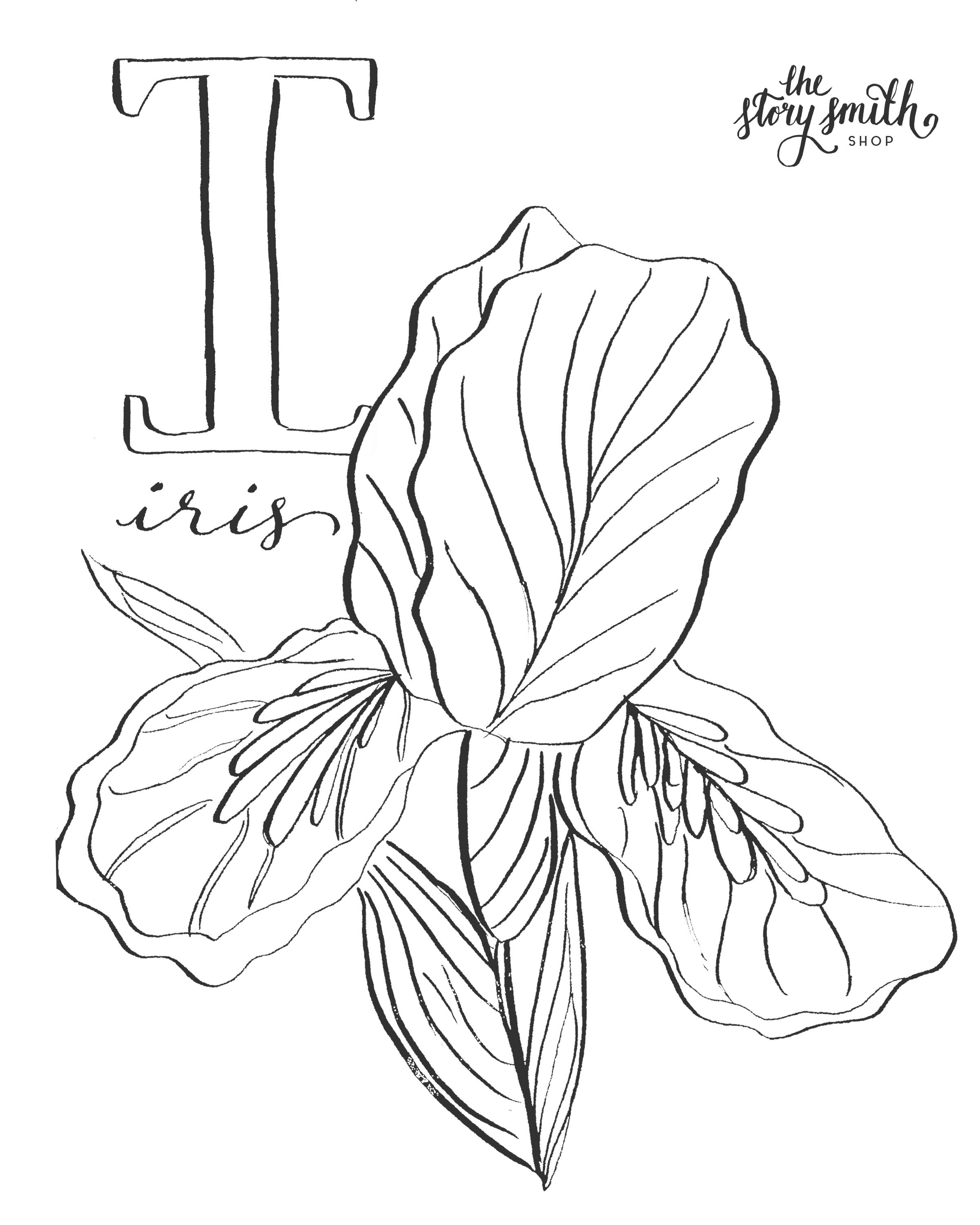 199 Lavender Coloring Pages Printable 171