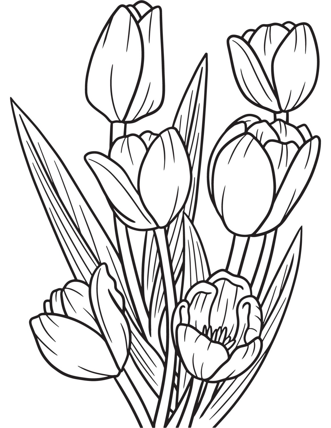 199 Lavender Coloring Pages Printable 182