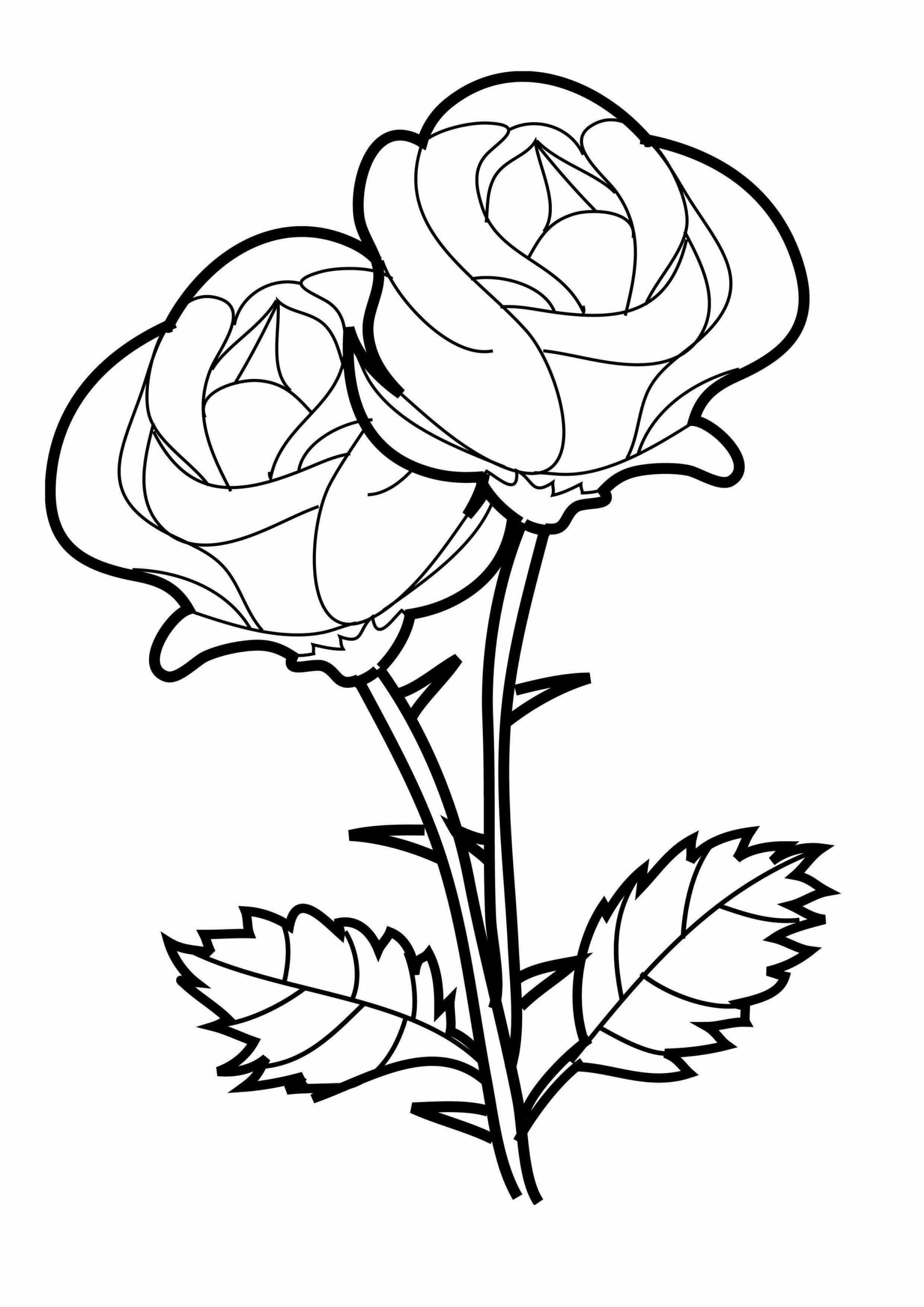 199 Lavender Coloring Pages Printable 184