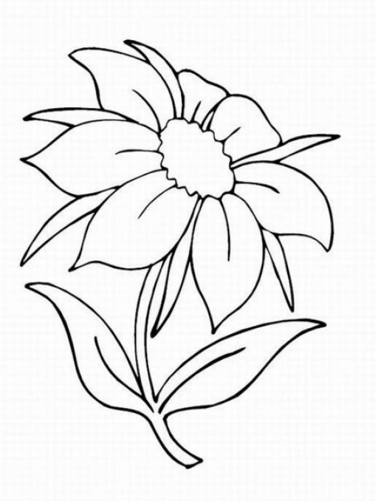 199 Lavender Coloring Pages Printable 185