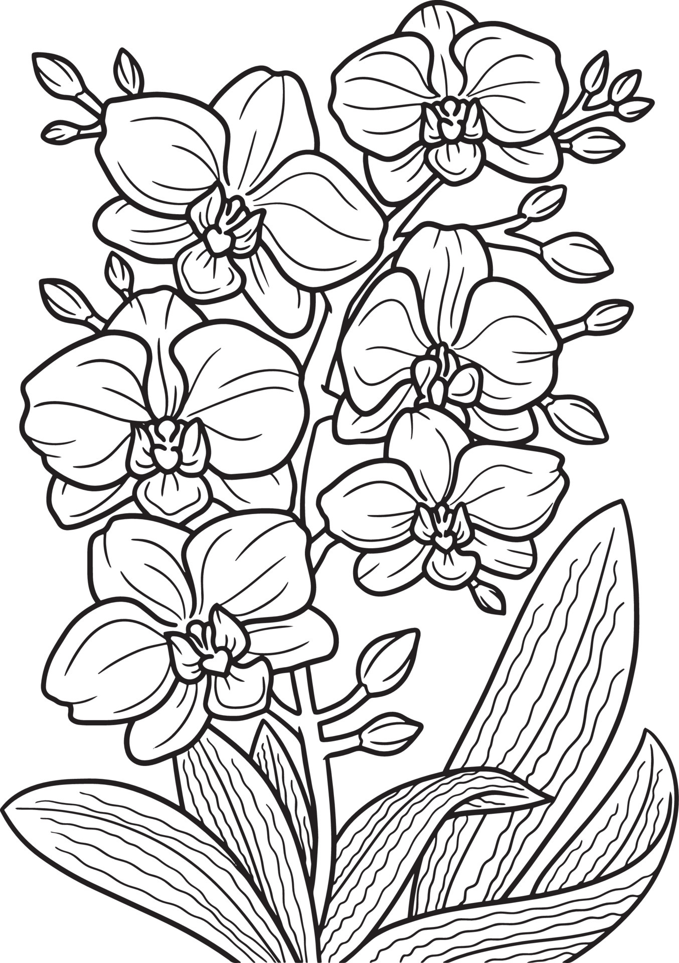 199 Lavender Coloring Pages Printable 191