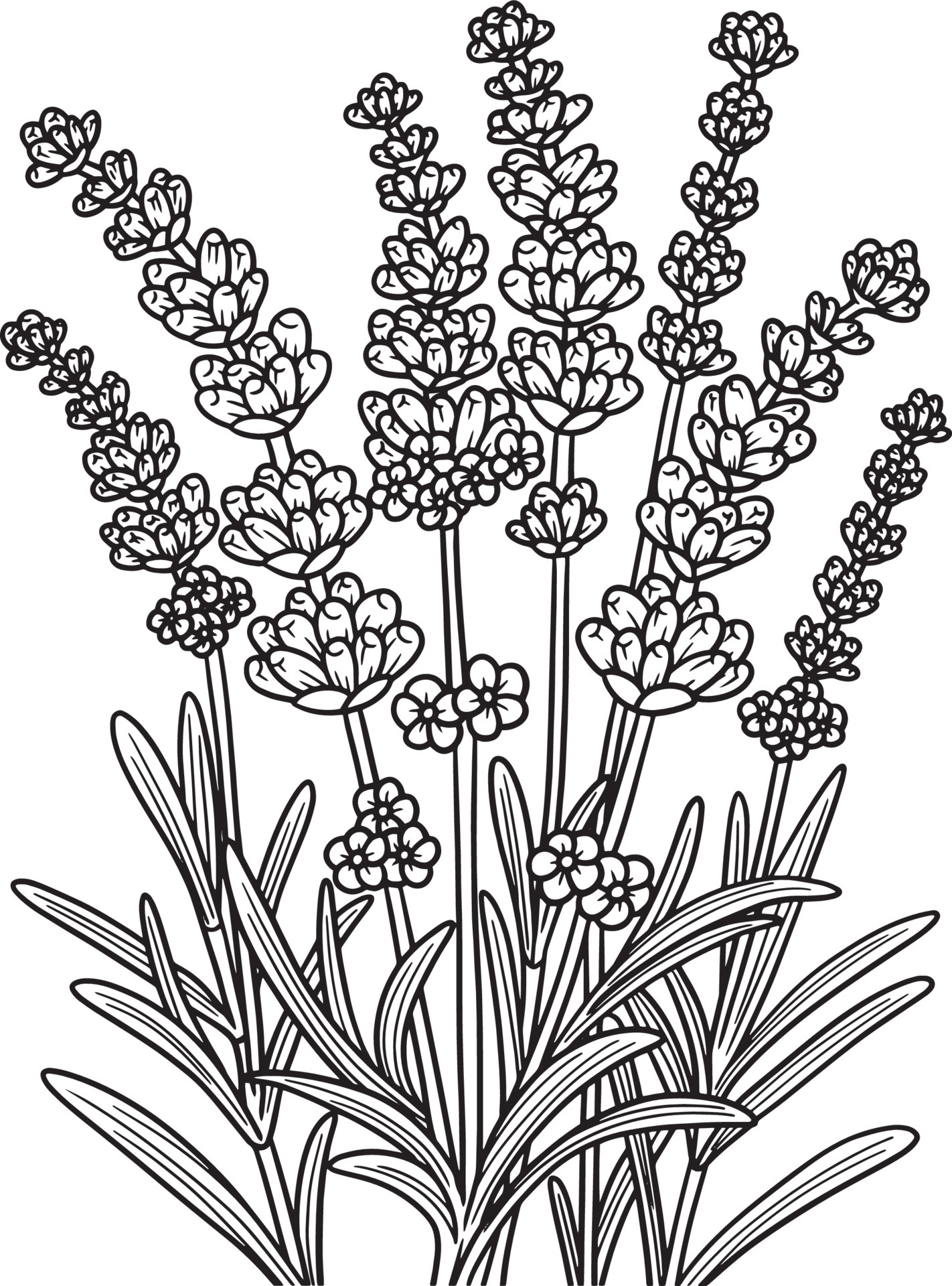 199 Lavender Coloring Pages Printable 2