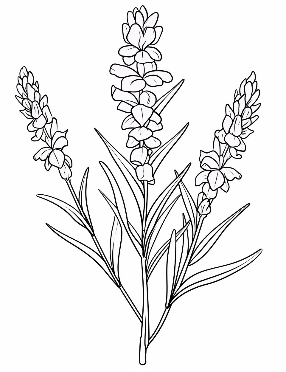 199 Lavender Coloring Pages Printable 4