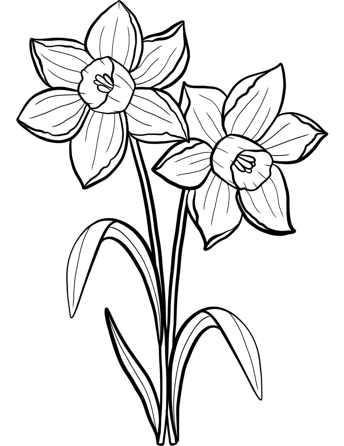 199 Lavender Coloring Pages Printable 43