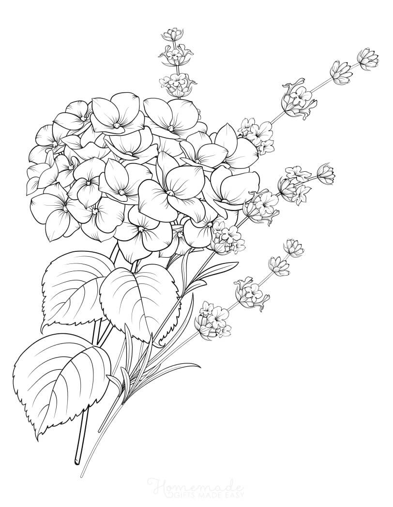 199 Lavender Coloring Pages Printable 6