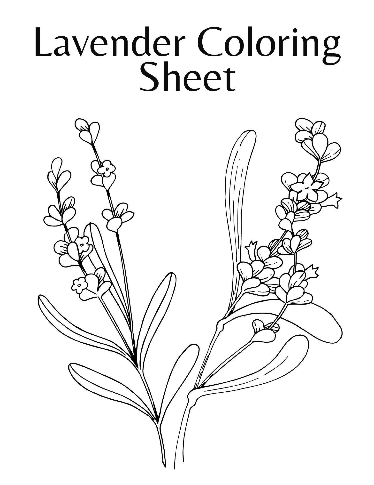 199 Lavender Coloring Pages Printable 9