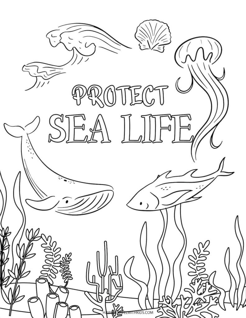 200 Beach Coloring Pages Free Printable 53