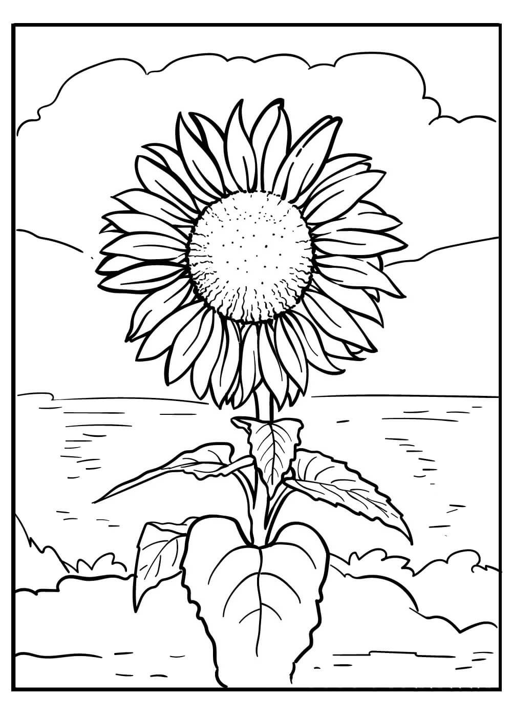 200 Beach Coloring Pages Free Printable 99