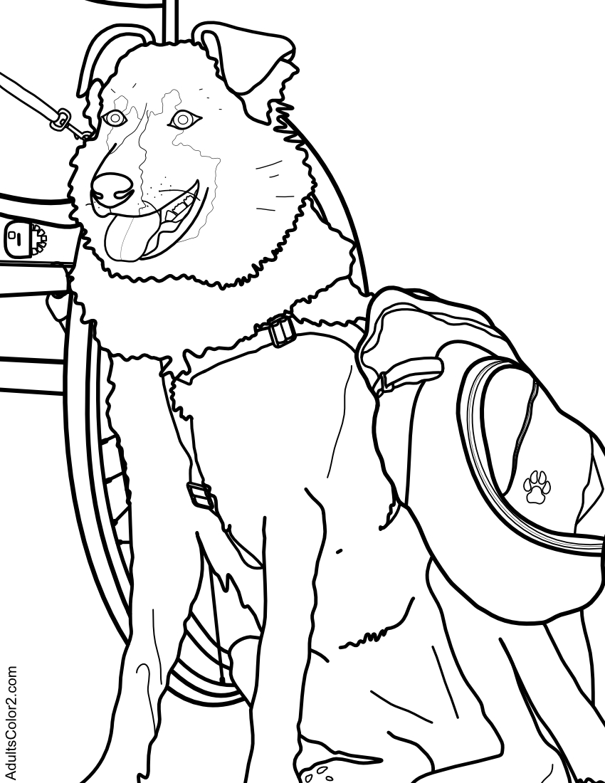 80 Veterans Day Coloring Pages 32