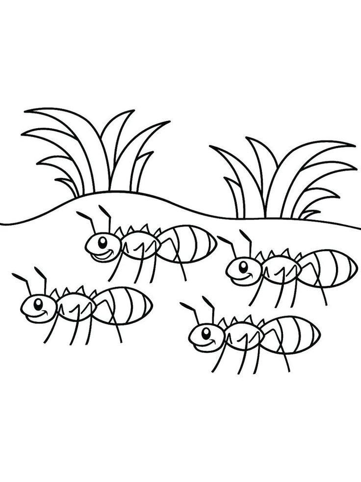 32 Busy Ant Coloring Pages Printable 10