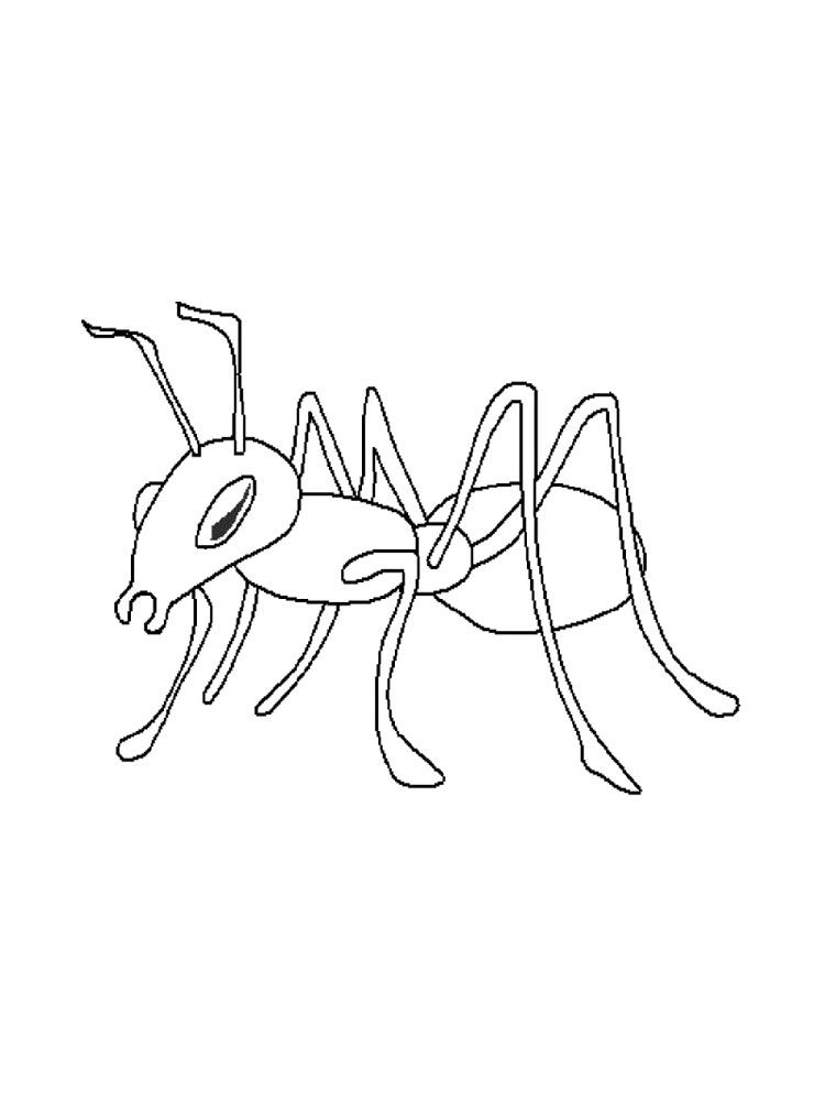 32 Busy Ant Coloring Pages Printable 15