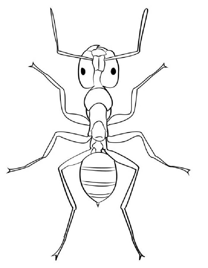 32 Busy Ant Coloring Pages Printable 16