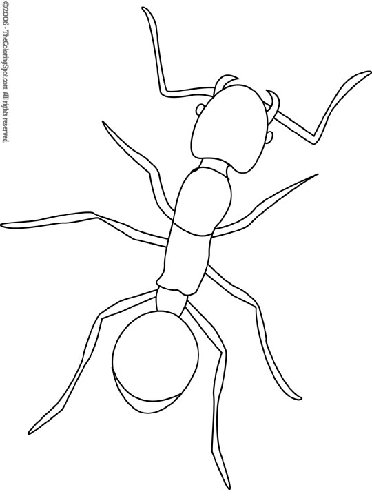 32 Busy Ant Coloring Pages Printable 18