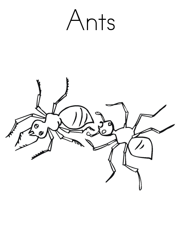 32 Busy Ant Coloring Pages Printable 26