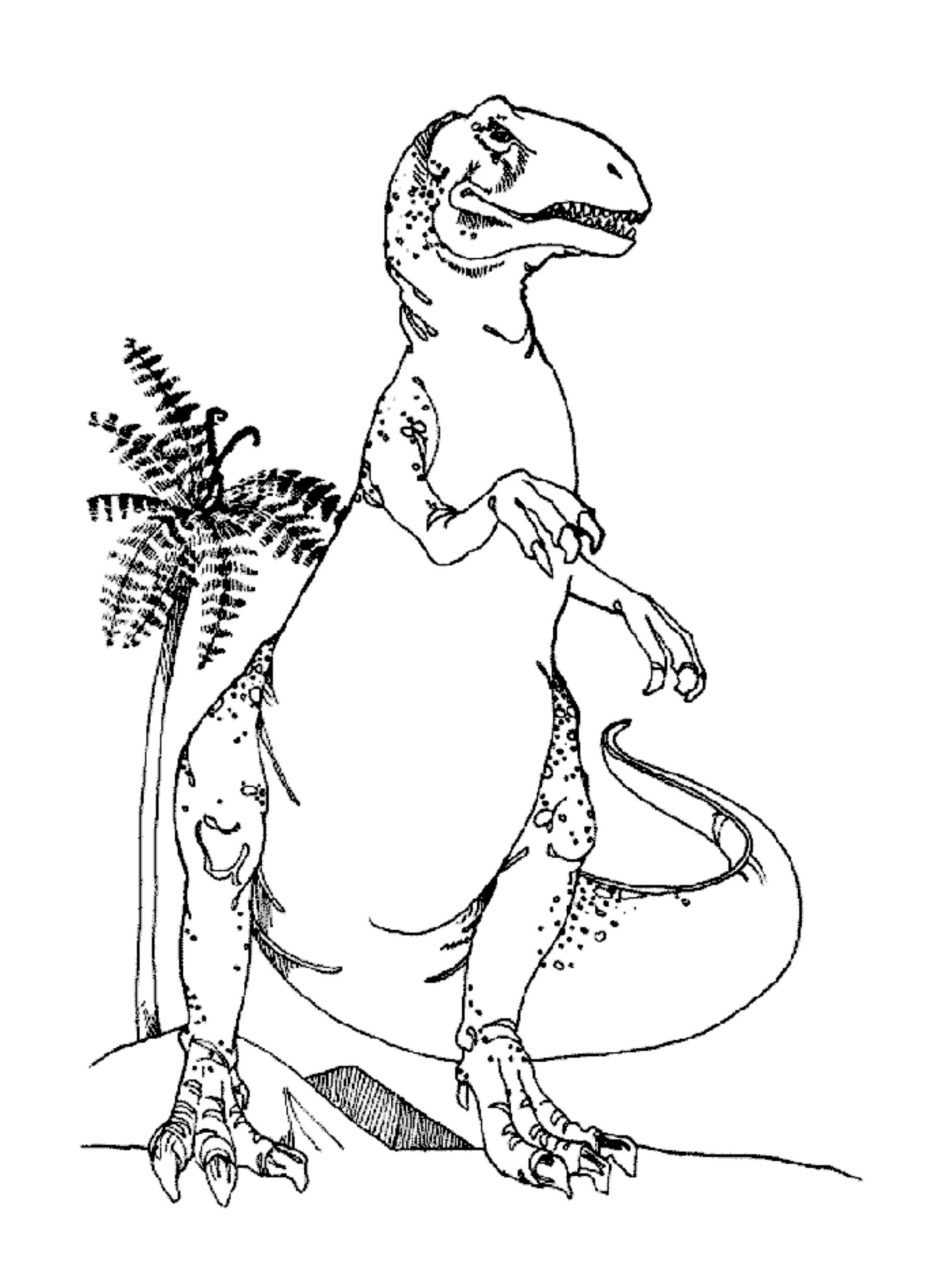 33 Fun T-Rex Coloring Pages Printable 6