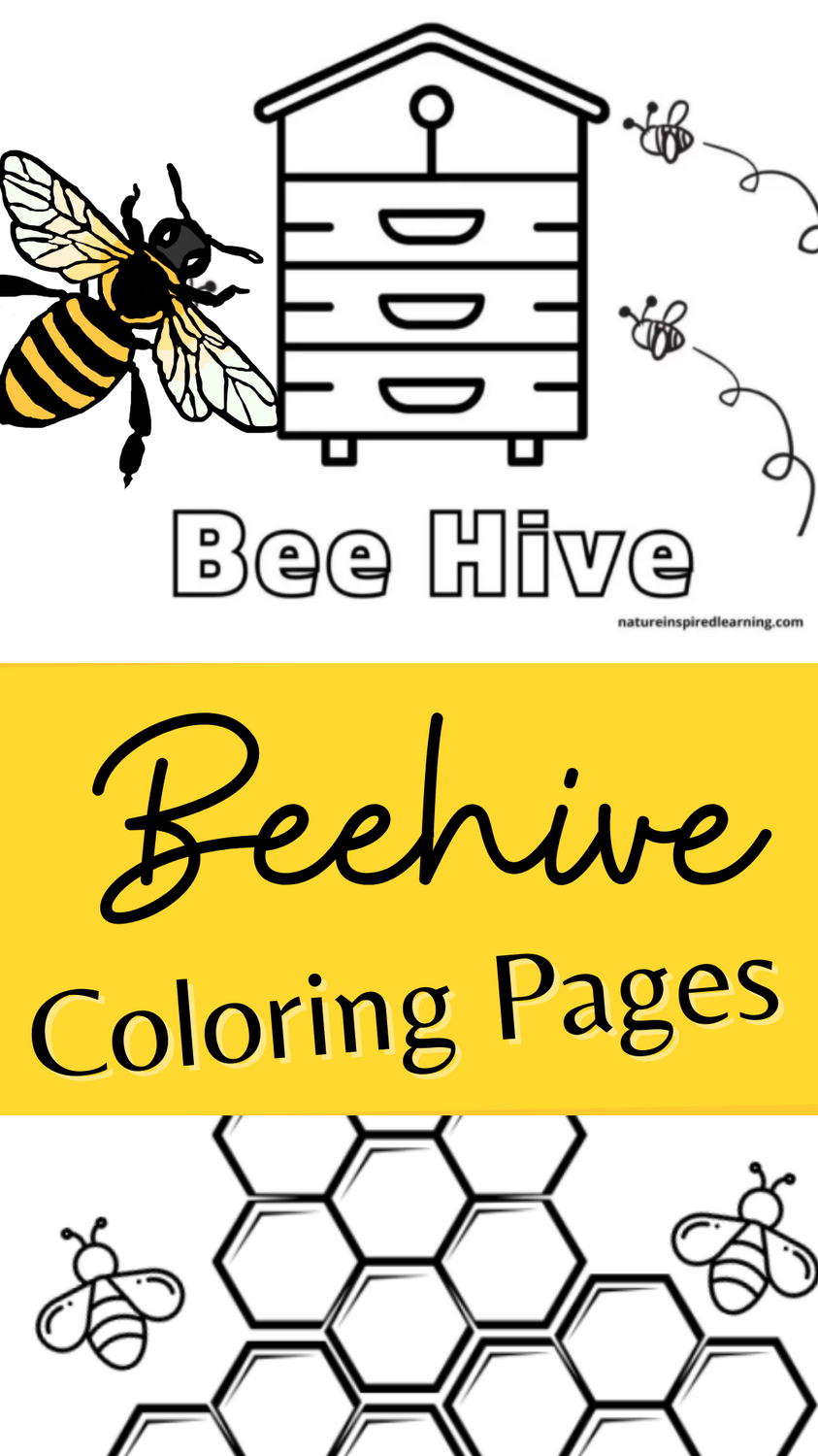 35 Busy Beehive Coloring Pages Printable 1