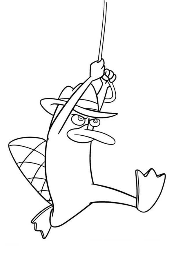 73 Free Printable Perry The Platypus Coloring Pages 14