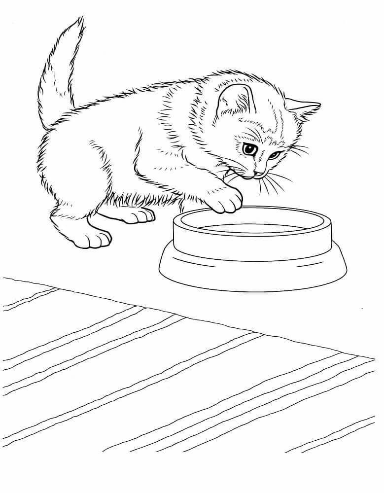 76 Kitten Coloring Pages Printable 12