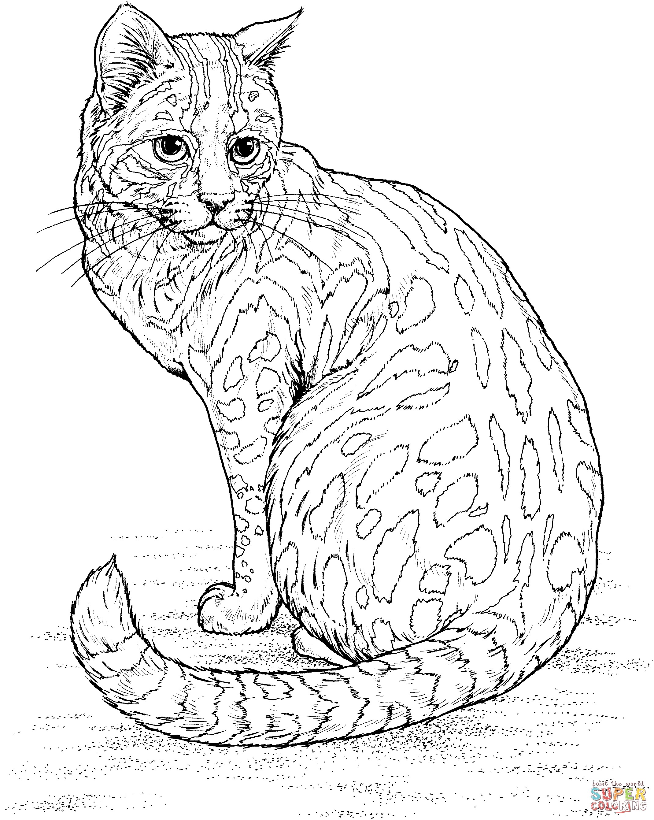 76 Kitten Coloring Pages Printable 2