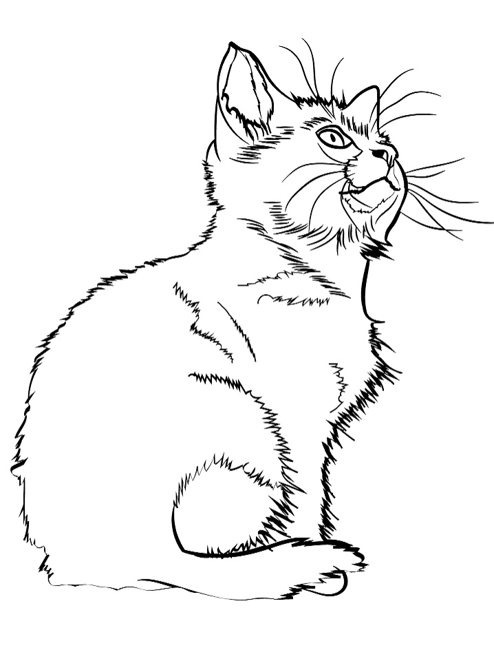 76 Kitten Coloring Pages Printable 26