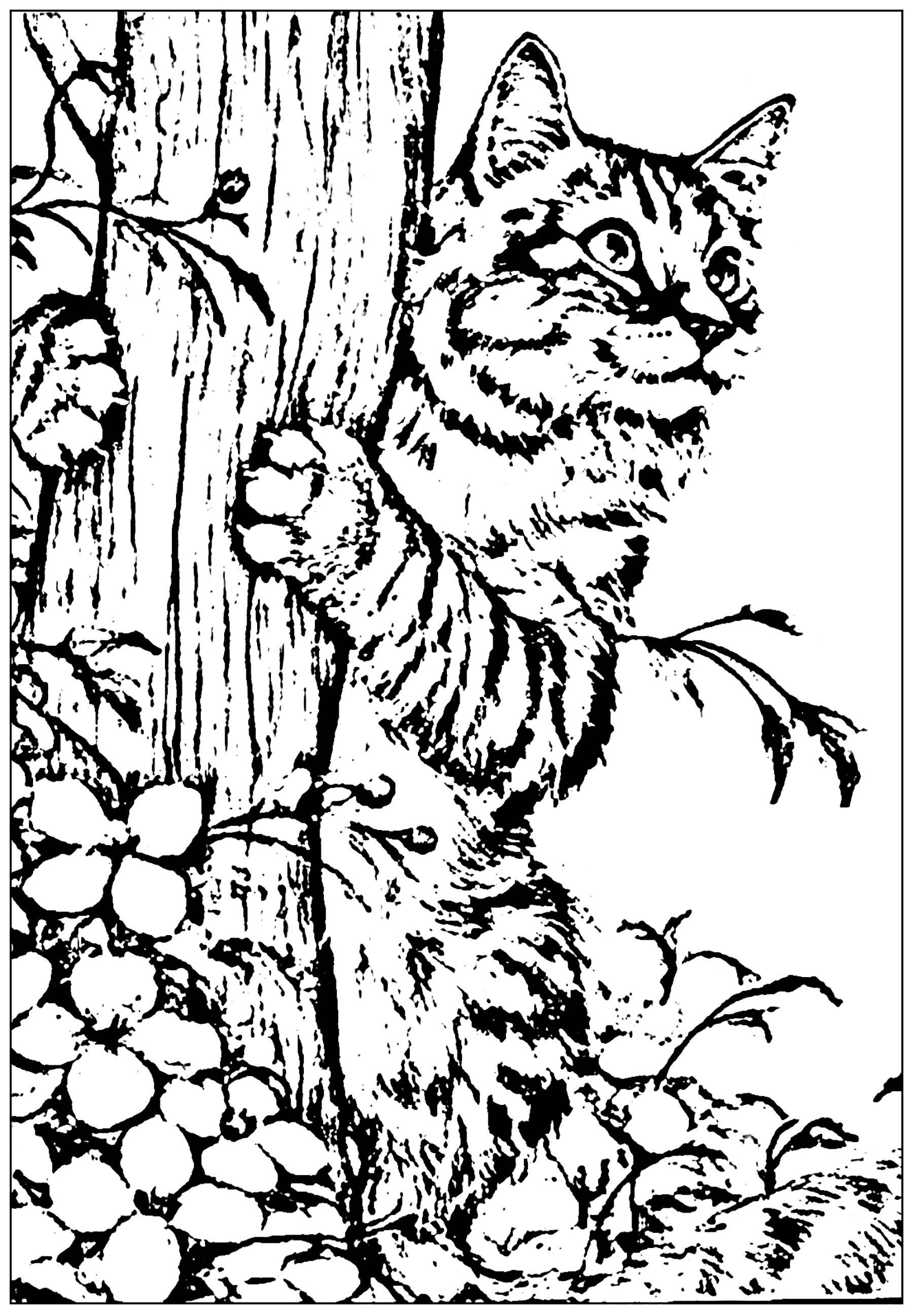 76 Kitten Coloring Pages Printable 28