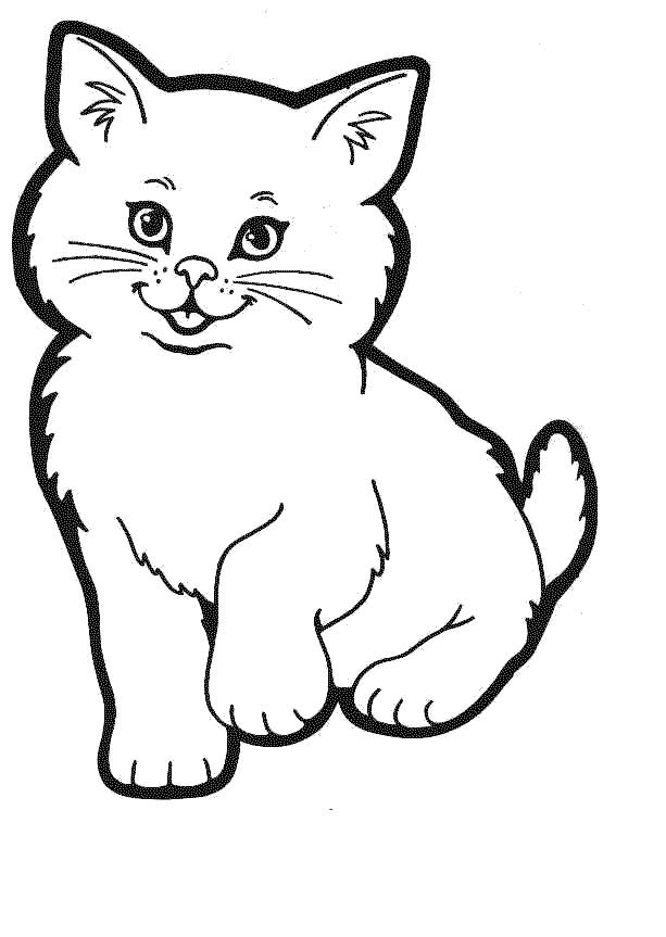 76 Kitten Coloring Pages Printable 41