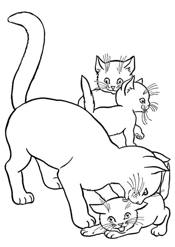 76 Kitten Coloring Pages Printable 44