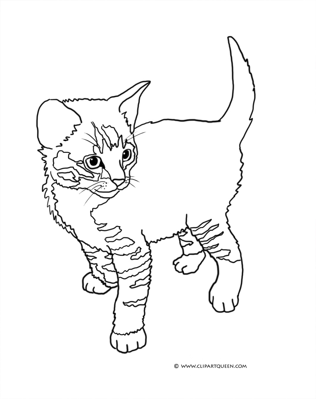 76 Kitten Coloring Pages Printable 5