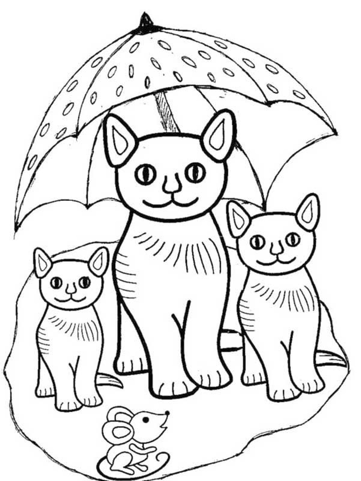 76 Kitten Coloring Pages Printable 52