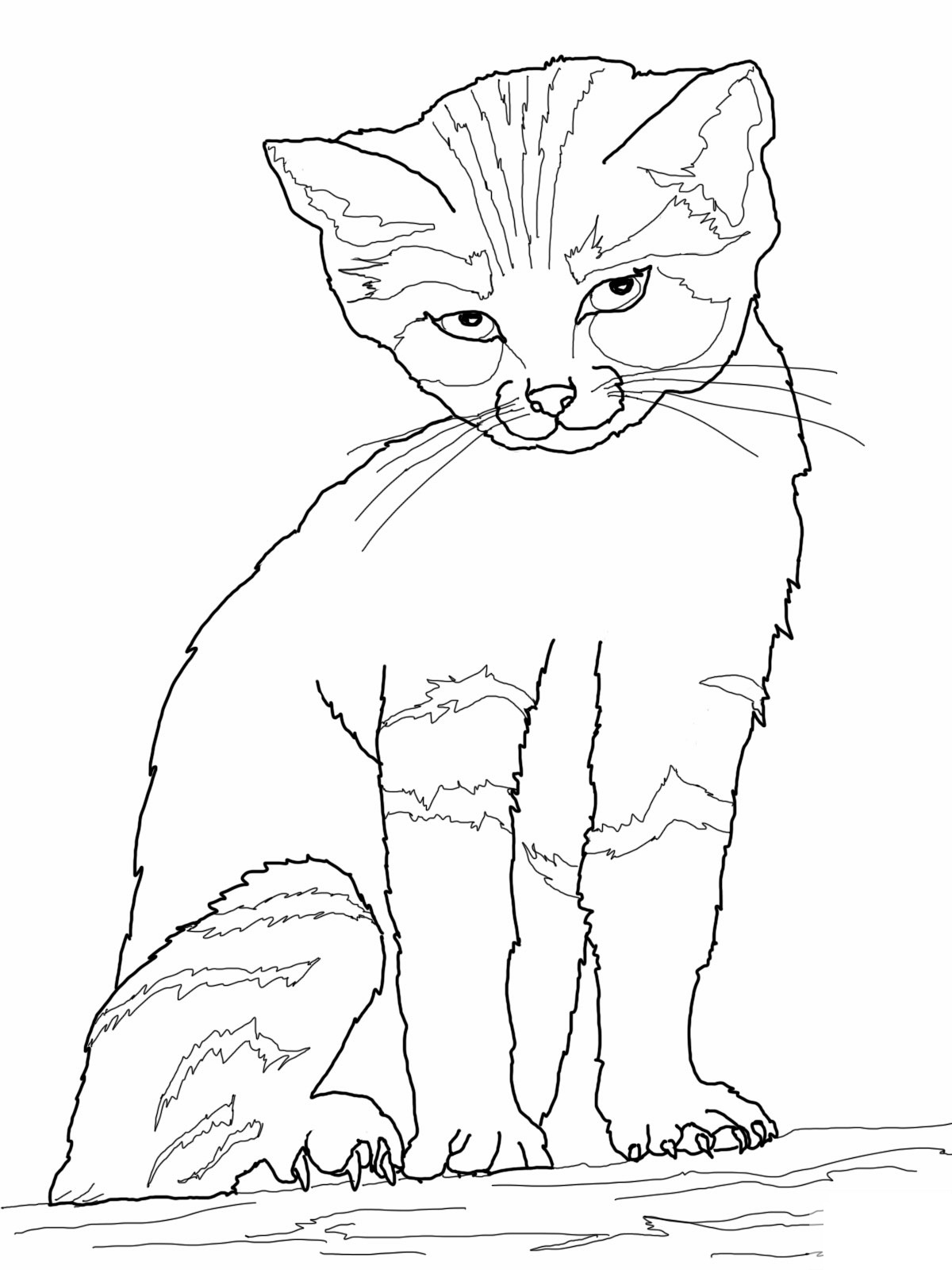 76 Kitten Coloring Pages Printable 61