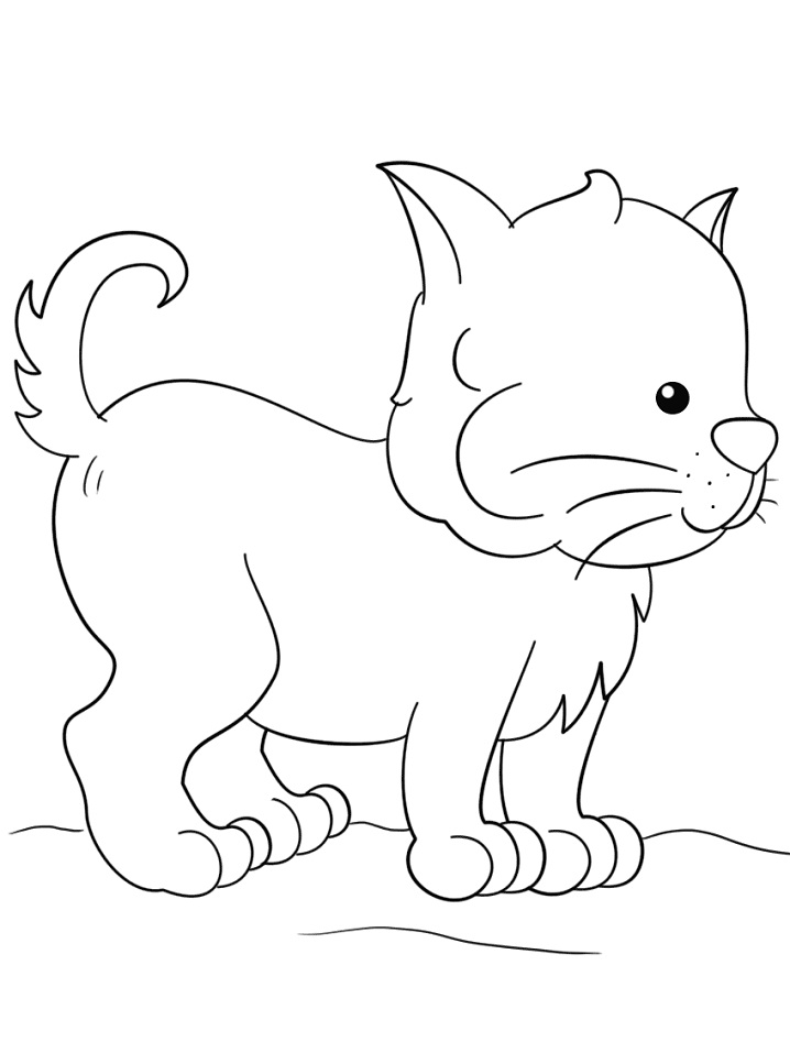 76 Kitten Coloring Pages Printable 73