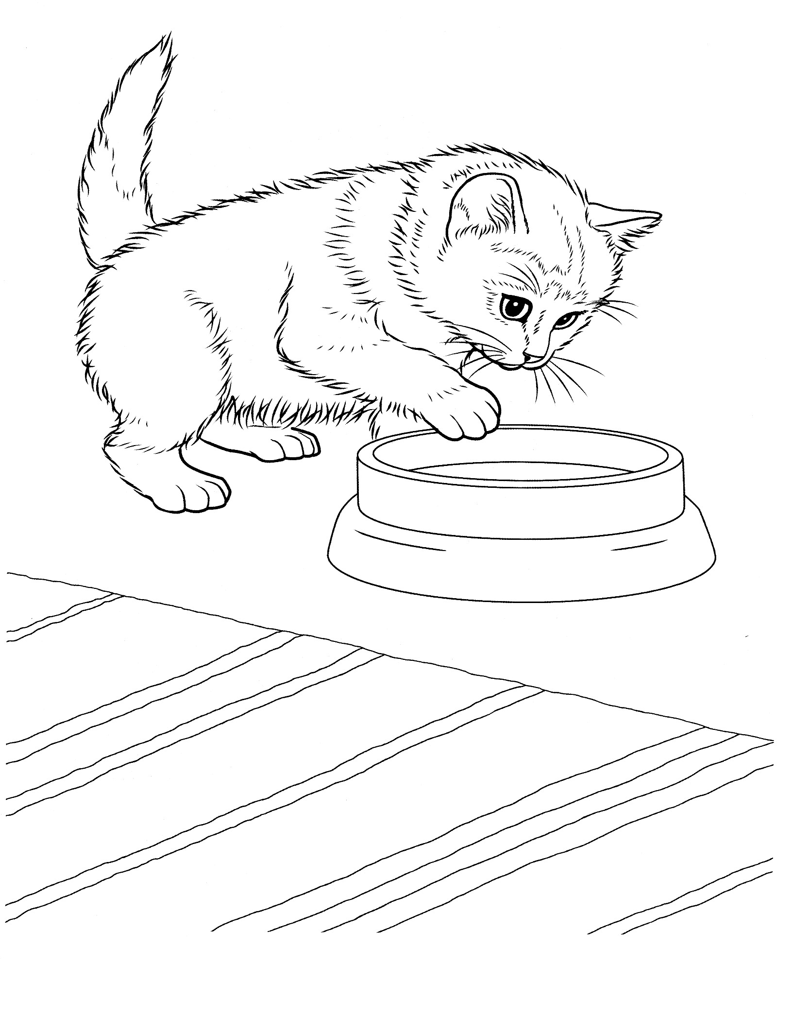 76 Kitten Coloring Pages Printable 9