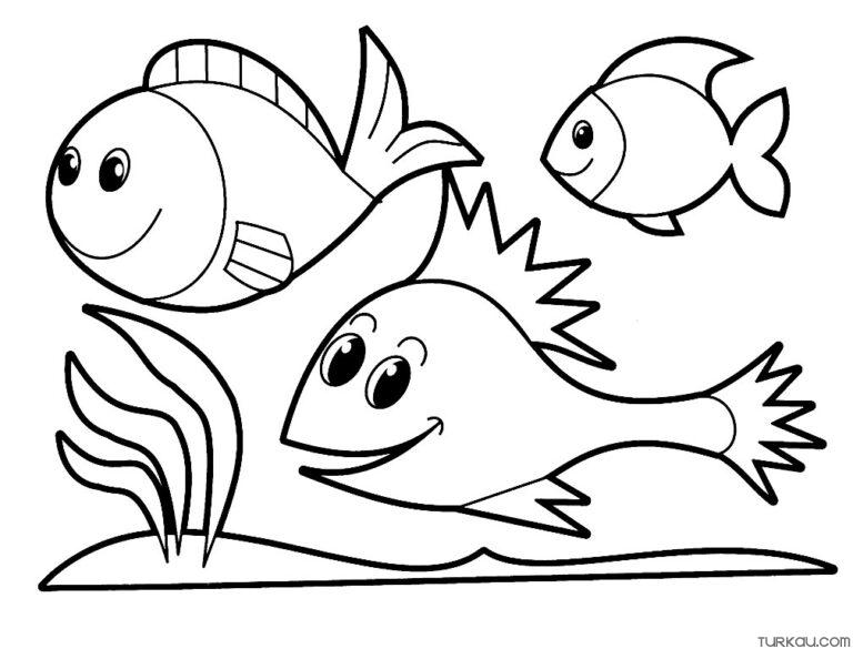 85 Amy Rose Coloring Pages Printable 19