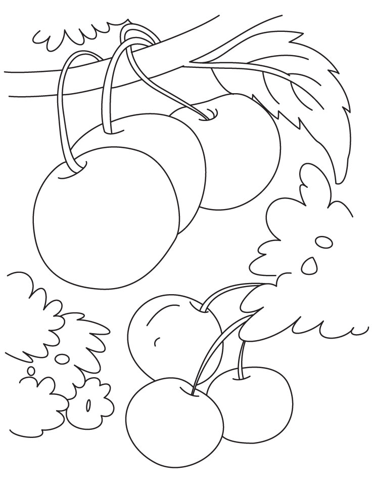 Beautiful Cherry Coloring Pages Printable 15