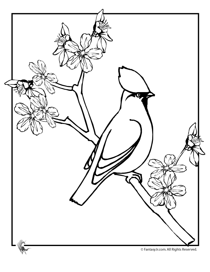 Beautiful Cherry Coloring Pages Printable 22