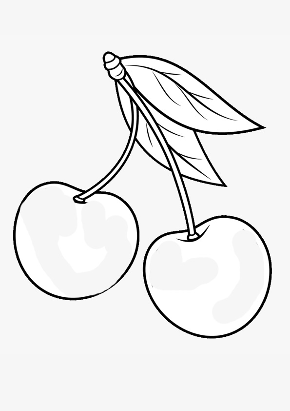 Beautiful Cherry Coloring Pages Printable 25