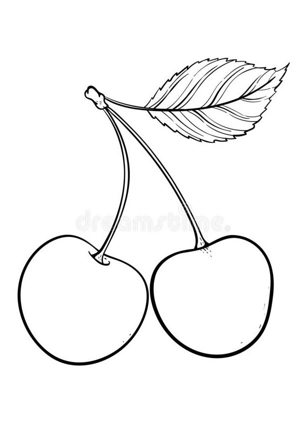 Beautiful Cherry Coloring Pages Printable 30