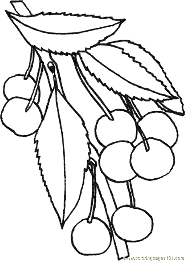 Beautiful Cherry Coloring Pages Printable 31