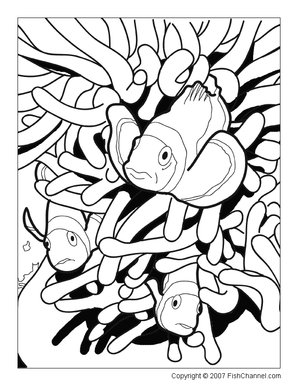 Tropical Fish Coloring Pages Printable 11