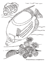 Tropical Fish Coloring Pages Printable 12