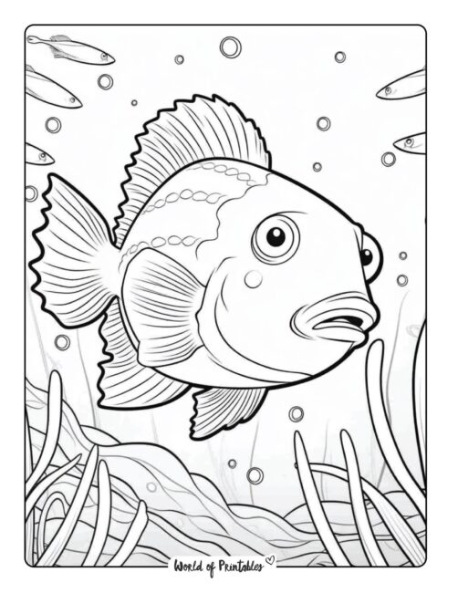 Tropical Fish Coloring Pages Printable 13