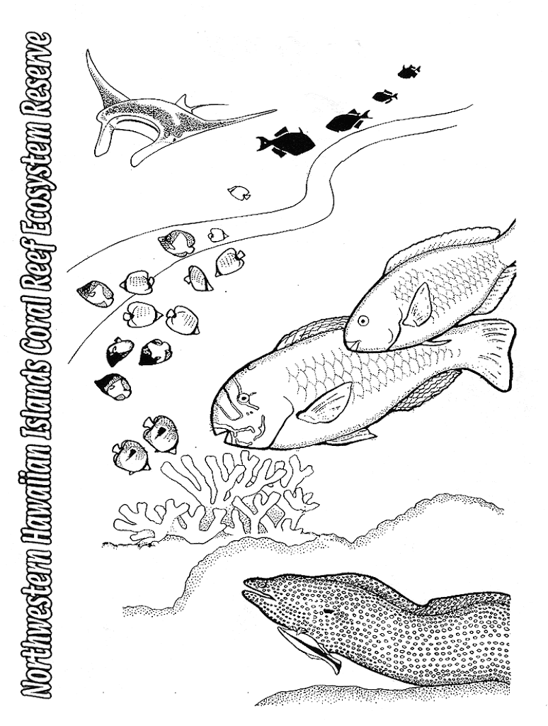 Tropical Fish Coloring Pages Printable 14