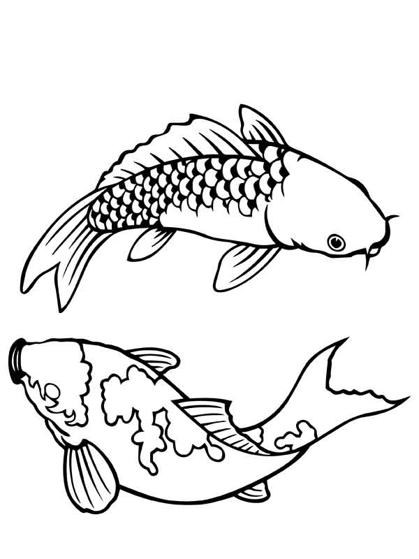 Tropical Fish Coloring Pages Printable 22