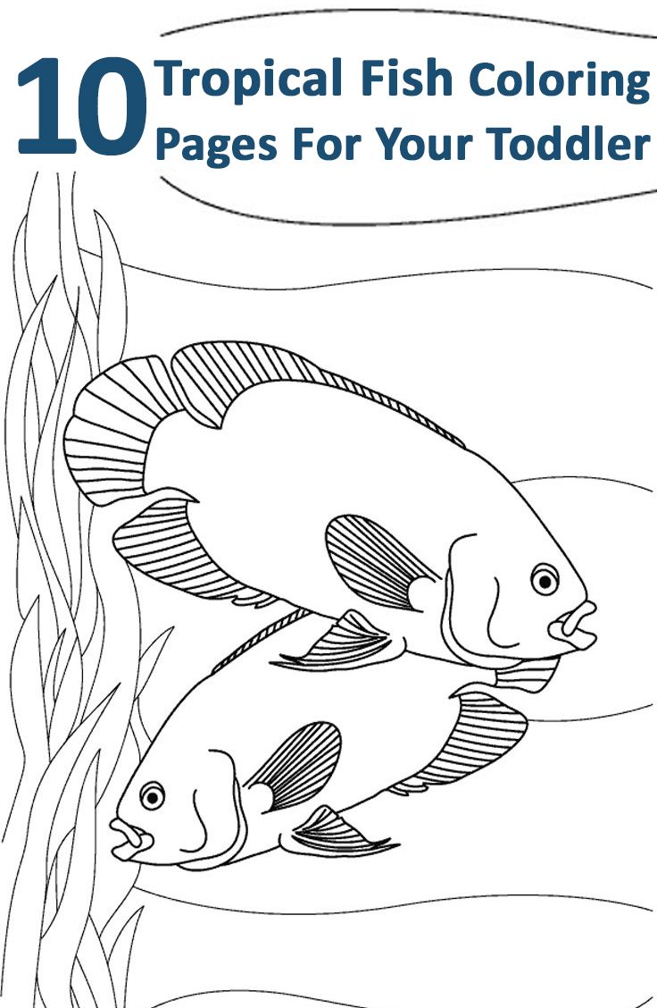 Tropical Fish Coloring Pages Printable 27