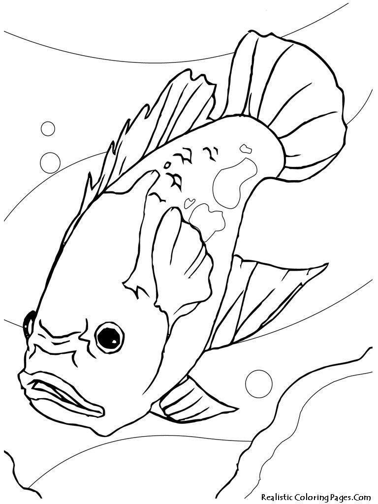 Tropical Fish Coloring Pages Printable 33