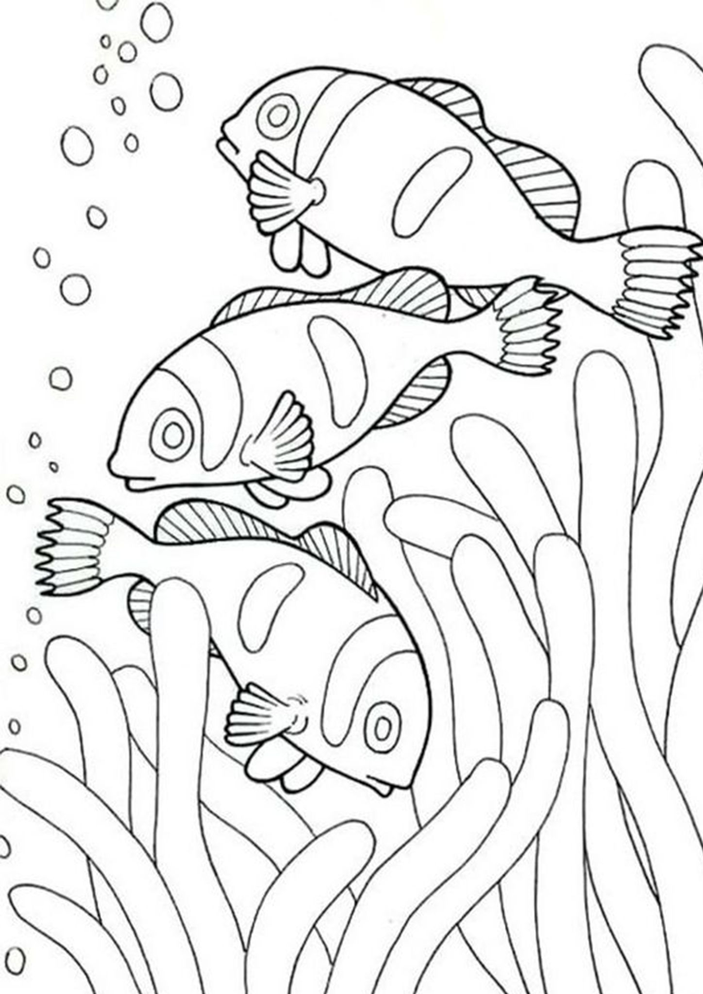 Tropical Fish Coloring Pages Printable 5