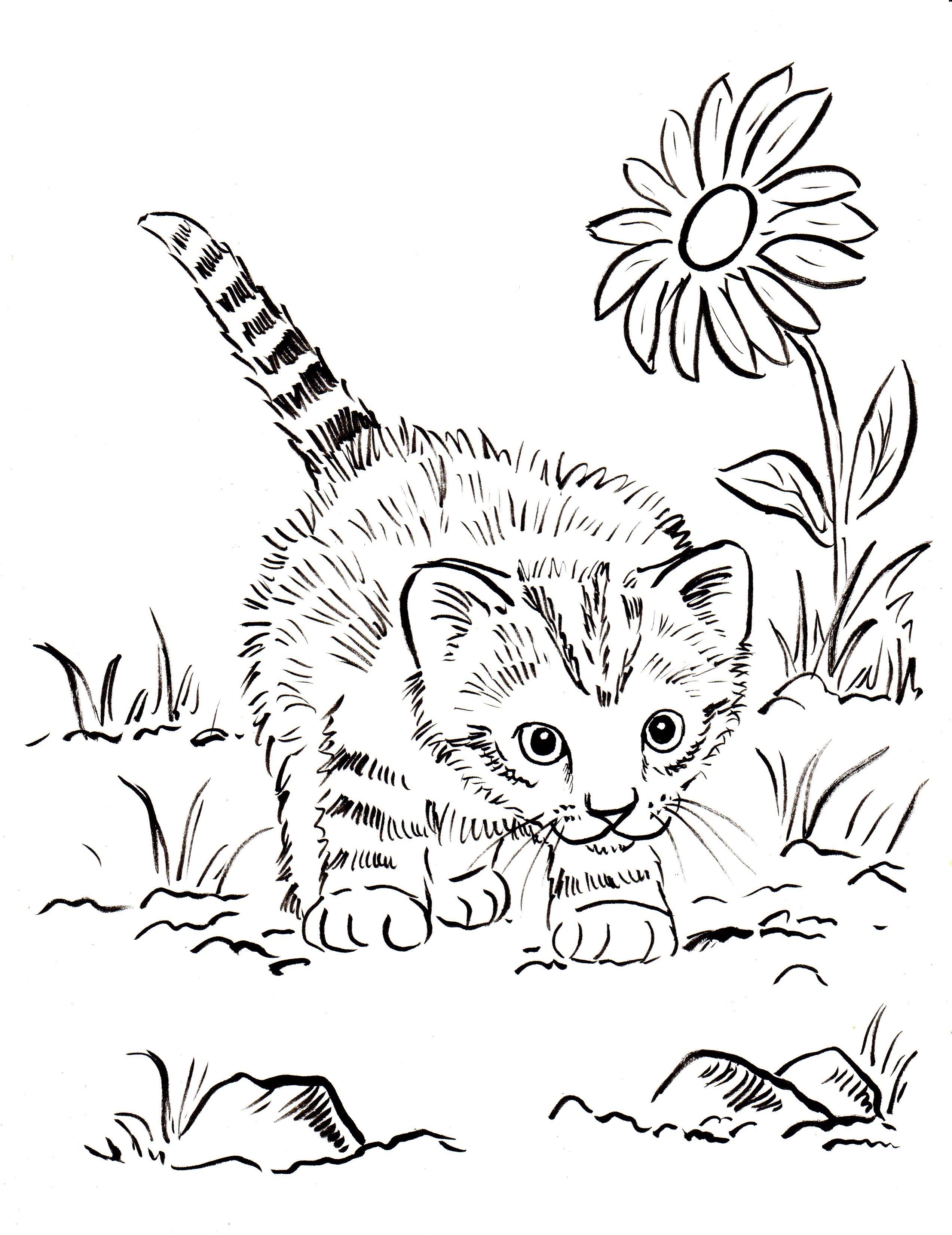 30 Cute Detailed Coloring Pages Printable 19