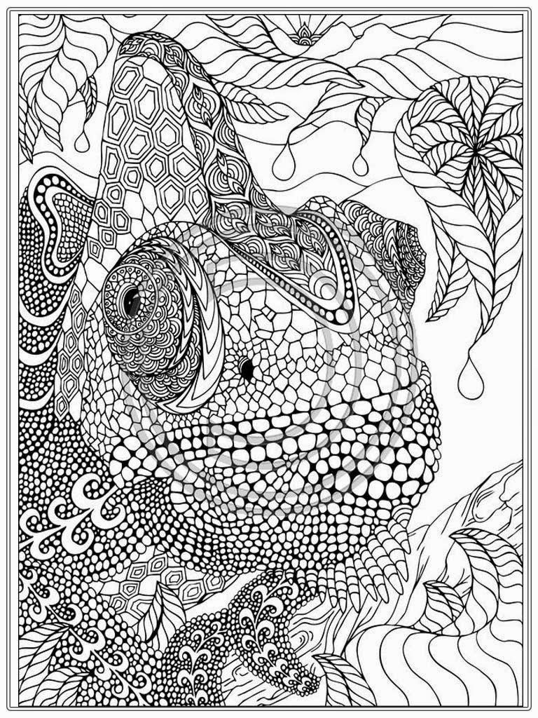 30 Cute Detailed Coloring Pages Printable 23