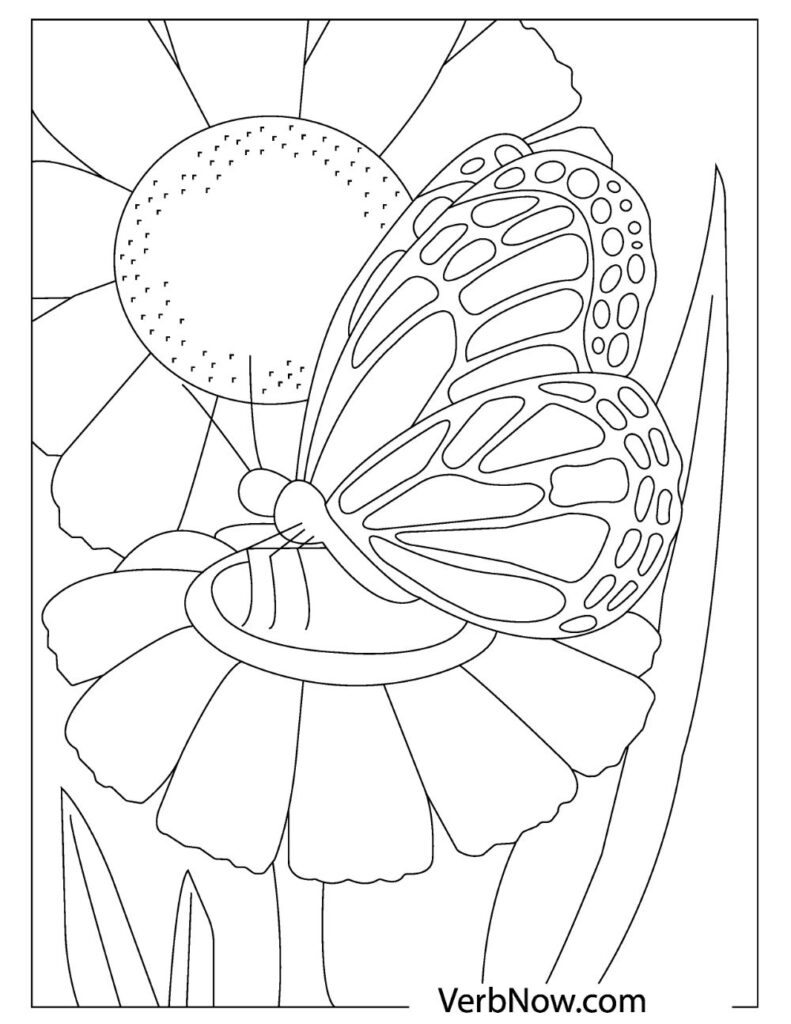 30 Free Butterfly Coloring Pages for Preschoolers Printable 10